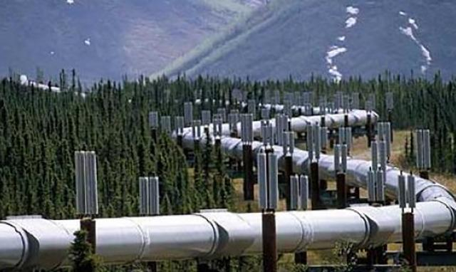 Украину с Польшей соединит газопровод: строительство началось