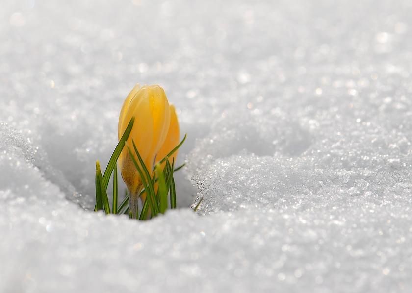 В Украине резко изменится погода
В Украине резко изменится погода