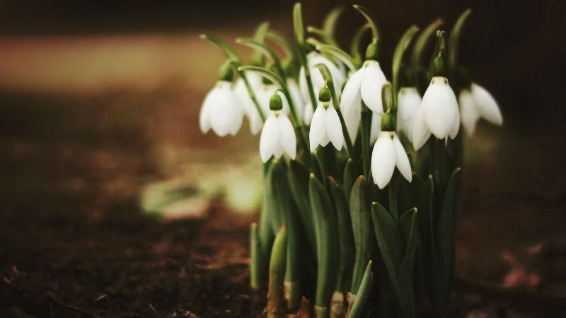 Синоптик рассказала, когда украинцам ждать потепления Синоптик рассказала, когда украинцам ждать потепления