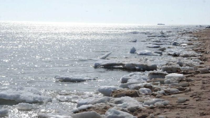 Настоящая весна на побережье Азовского моря: впечатляющие фото