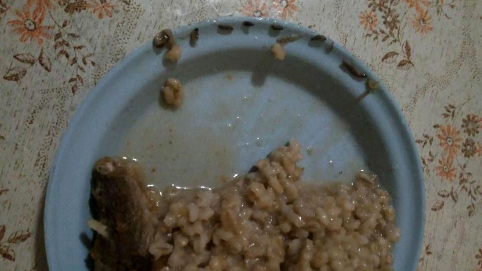 Бійців військової частини на Львівщині годують їжею з хробаками: опубліковані фото Бійців військової частини на Львівщині годують їжею з хробаками: опубліковані фото