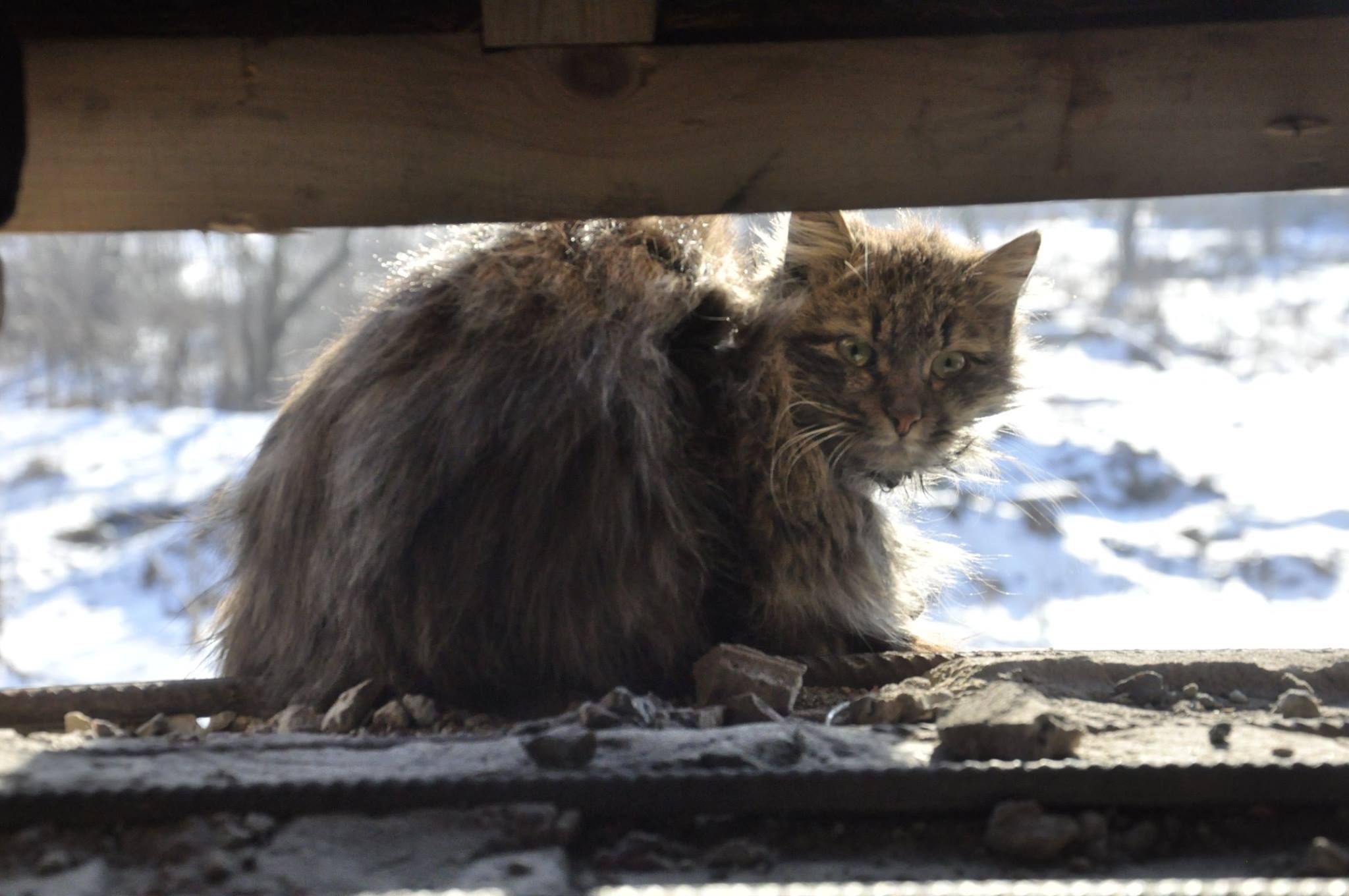 Волонтер показал апокалиптические фото Песок Волонтер показал апокалиптические фото Песок