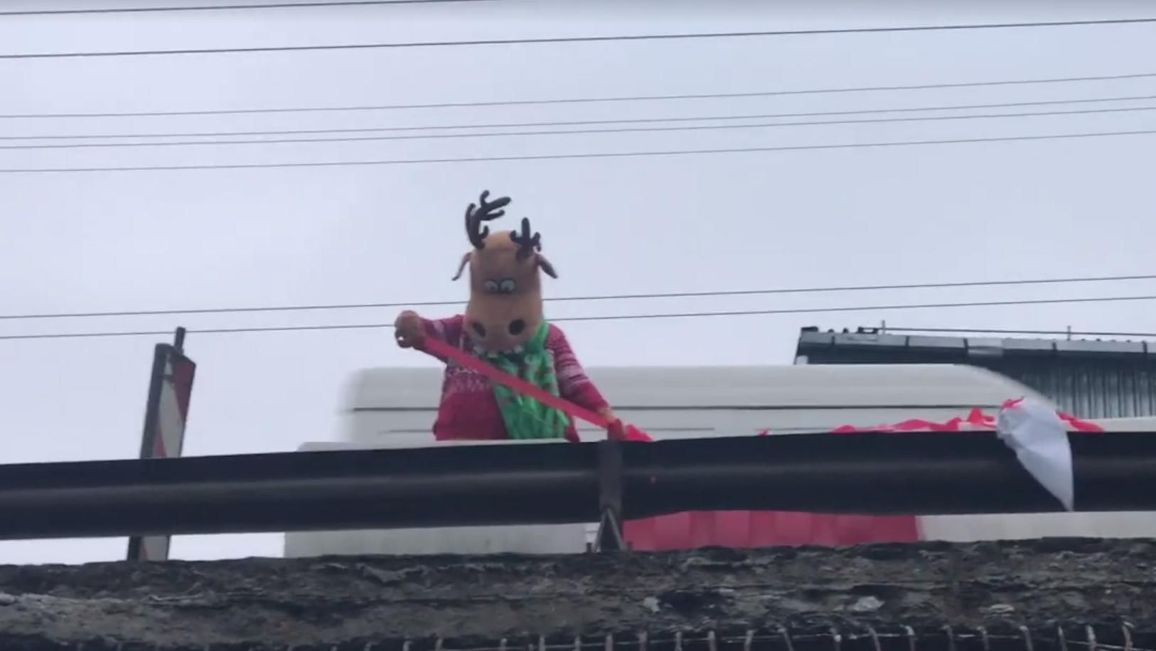 У Шулявського моста виявився неочікуваний рятувальник: кумедне відео У Шулявського моста виявився неочікуваний рятувальник: кумедне відео