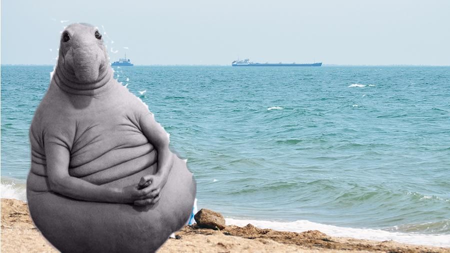 До окупованого Криму вже кличуть "бандерівців" До окупованого Криму вже кличуть "бандерівців"