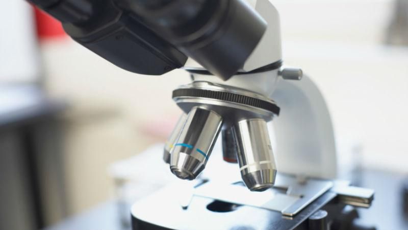 Британські вчені наткнулись на сенсаційну знахідку Британські вчені наткнулись на сенсаційну знахідку