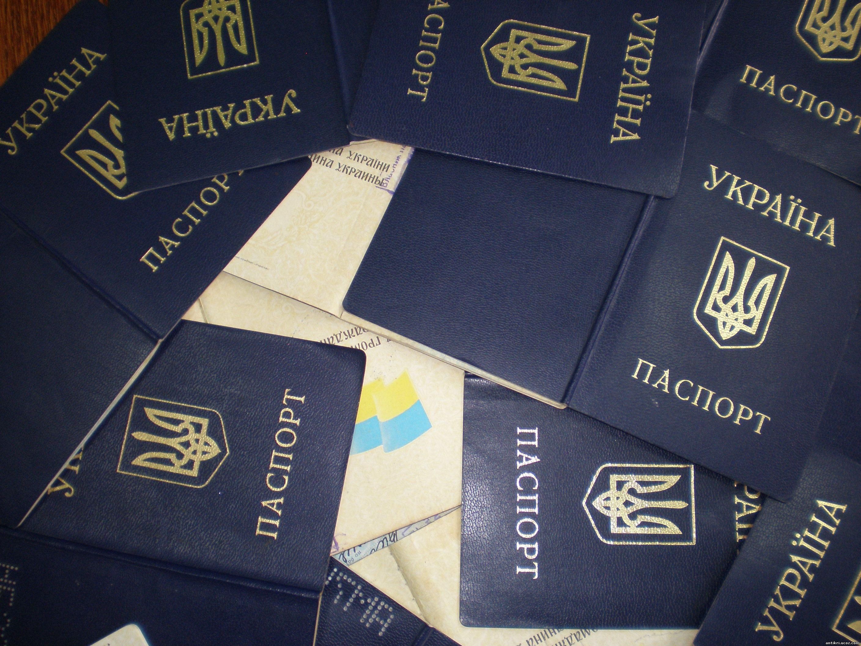 Эксперт объяснил, почему Украина не принимает иностранцев-добровольцев
