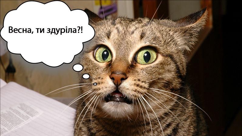 В Україну повертаються морози - 6 березня 2017 - Телеканал новин 24 В Україну повертаються морози - 6 березня 2017 - Телеканал новин 24