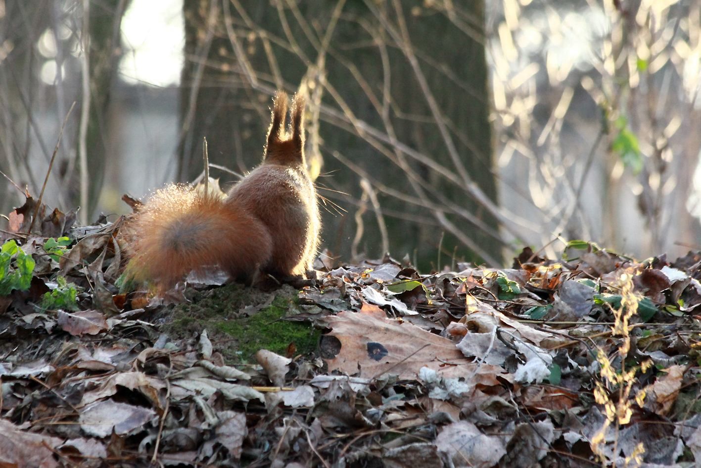 В Україні суттєво зміниться погода В Україні суттєво зміниться погода