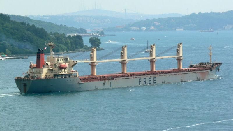 Після 3 місяців голодування в Україну повернулись моряки грецького судна-банкрута Після 3 місяців голодування в Україну повернулись моряки грецького судна-банкрута