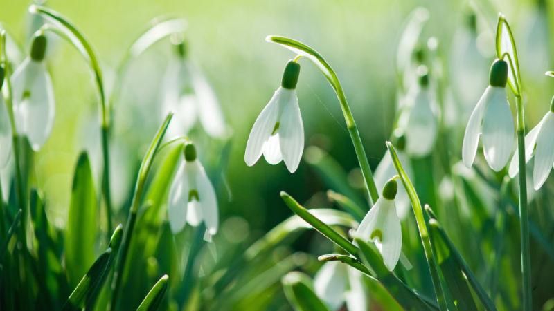 Скільки ще затримається похолодання в Україні: невтішні прогнози Скільки ще затримається похолодання в Україні: невтішні прогнози