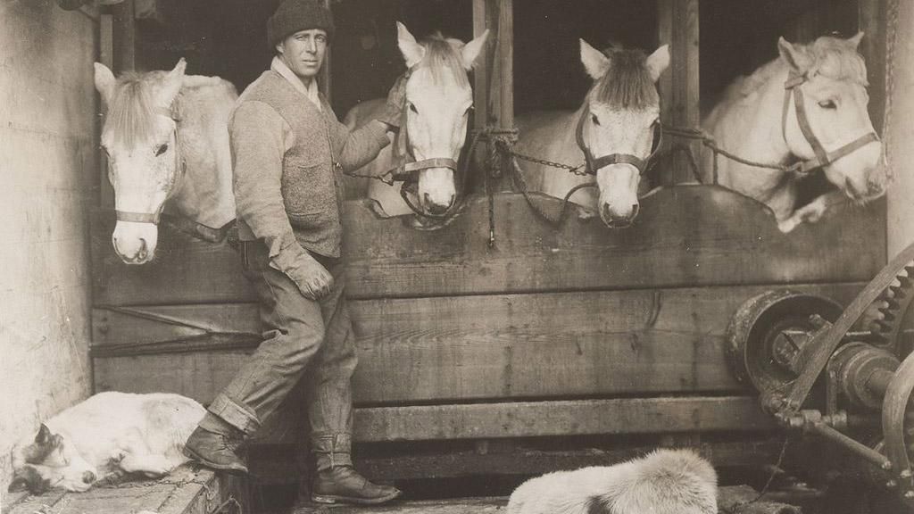 Украинец, который был участником арктической экспедиции Роберта Скотта Украинец, который был участником арктической экспедиции Роберта Скотта