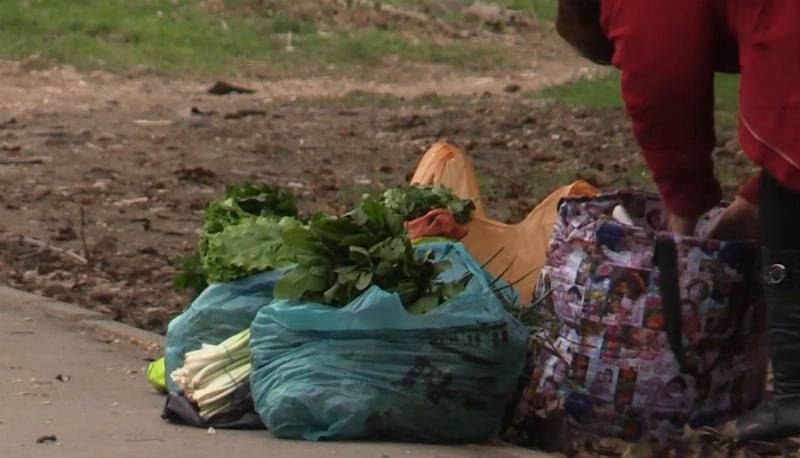 Сколько пенсий получают крымчане и как на них выжить.
Сколько пенсий получают крымчане и как на них выжить.