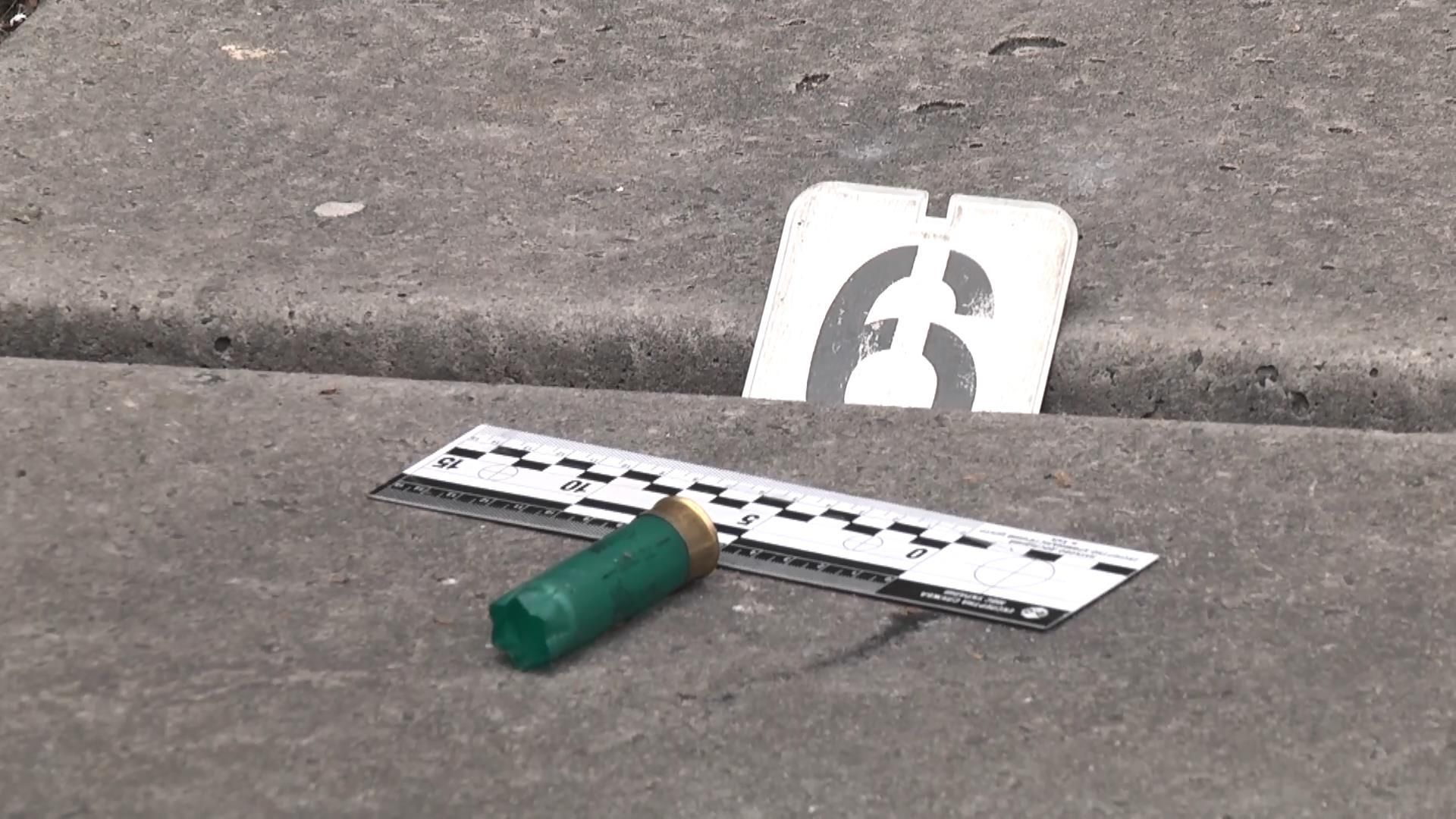 Кто стоит за нападением на пансионат переселенцев под Киевом Кто стоит за нападением на пансионат переселенцев под Киевом