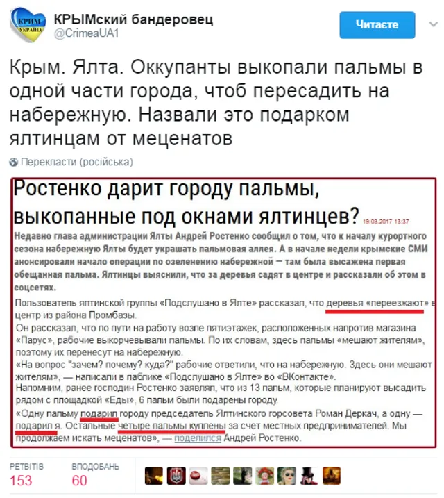 Крим, Ялта, пальми Крим, Ялта, пальми