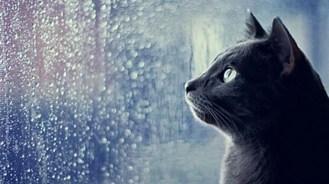 Украинцев предупреждают о резком изменении погоды Украинцев предупреждают о резком изменении погоды