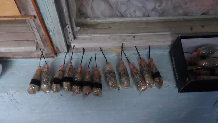 В Украине бросили за решетку трех террористов В Украине бросили за решетку трех террористов