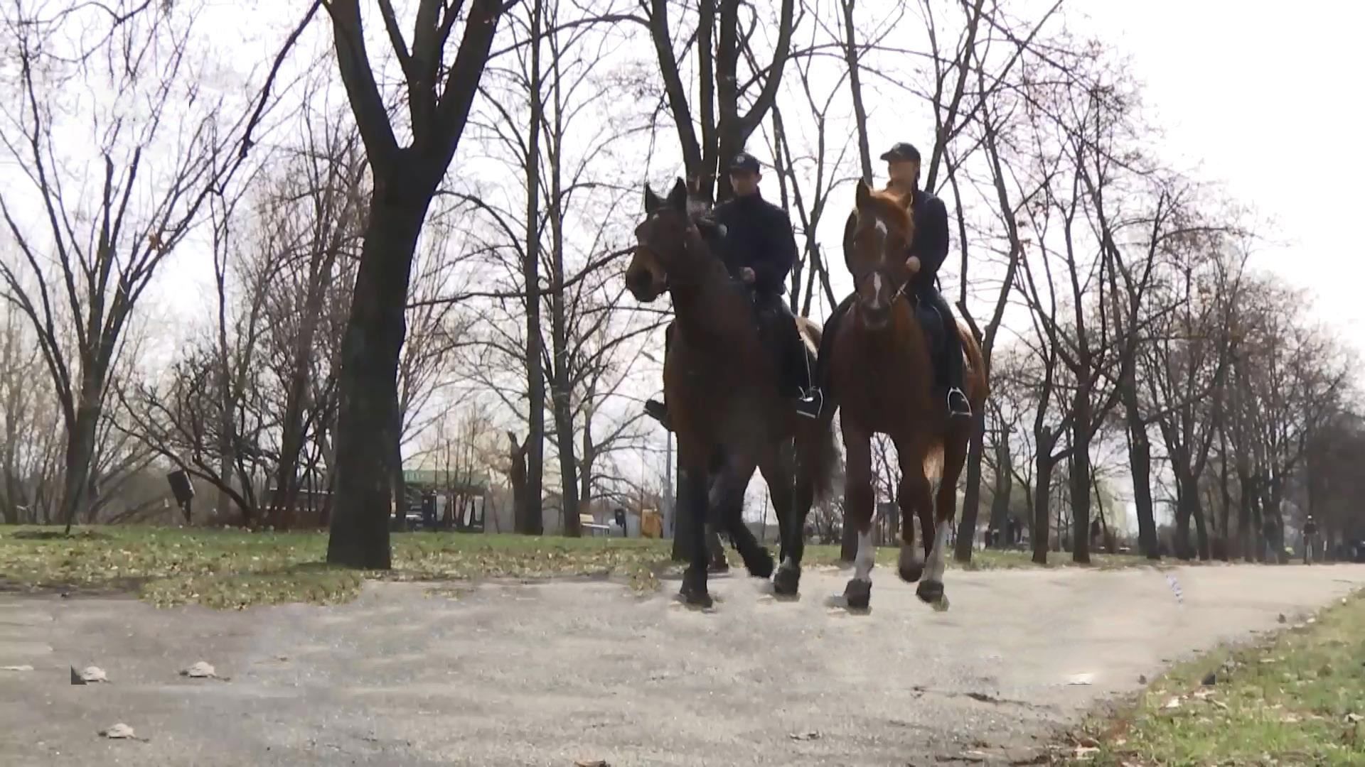Как в Киеве работает конный патруль