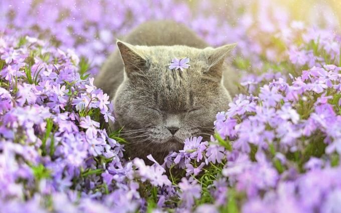 Від морозу до тепла: прогноз погоди на наступний тиждень Від морозу до тепла: прогноз погоди на наступний тиждень