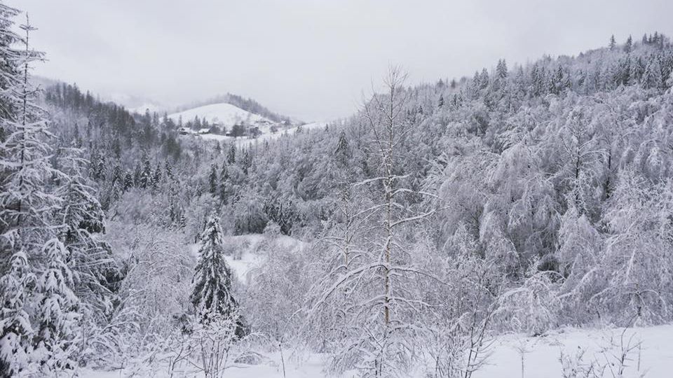 Весна удивляет. Часть Украины засыпало снегом Весна удивляет. Часть Украины засыпало снегом