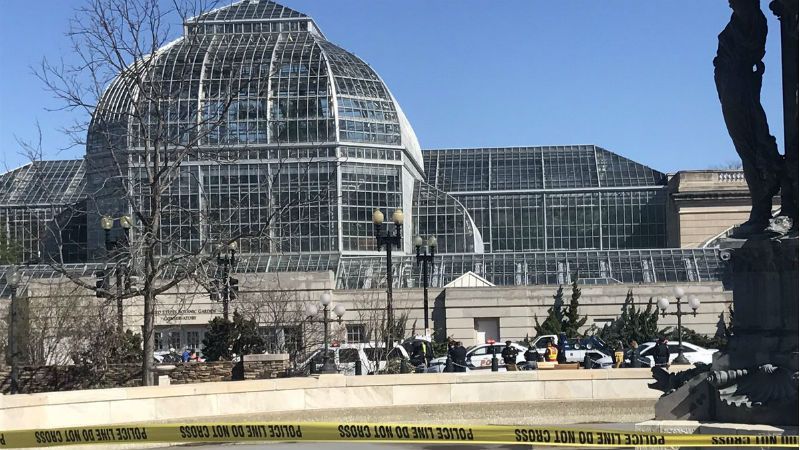 В США полицейские стреляли в женщину, которая протаранила машину правоохранителей В США полицейские стреляли в женщину, которая протаранила машину правоохранителей