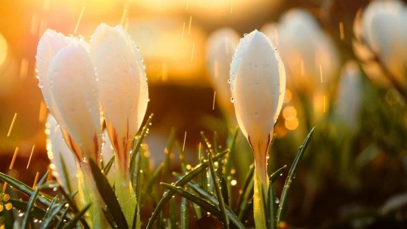 Синоптик попередила про похолодання та дощову погоду Синоптик попередила про похолодання та дощову погоду