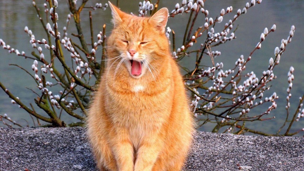 Прогноз погоды 31 марта: весна порадует теплом и солнцем Прогноз погоды 31 марта: весна порадует теплом и солнцем