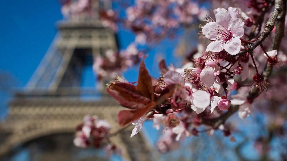 В Україні стартує "Французька весна"