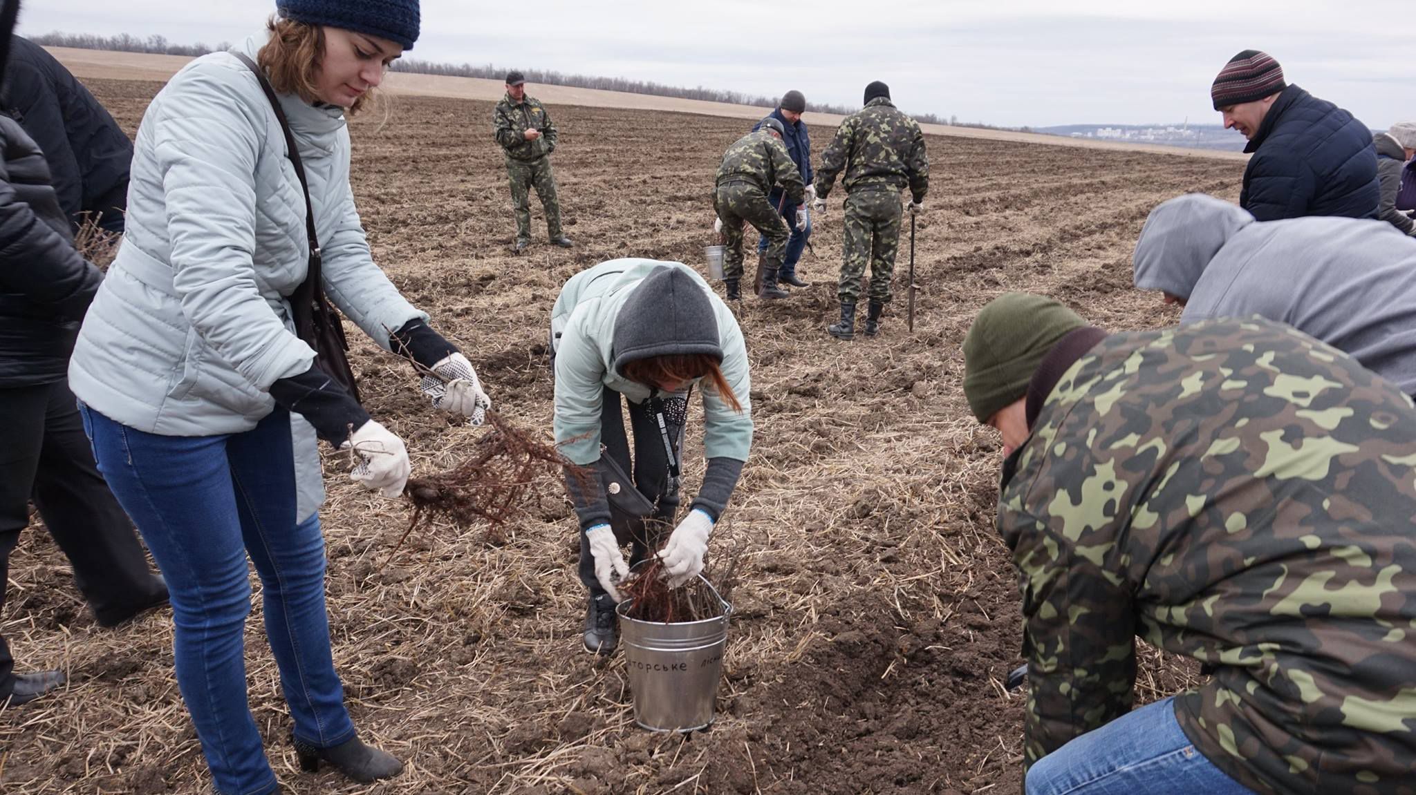 На місці запеклих боїв в зоні АТО висадили дубовий гай