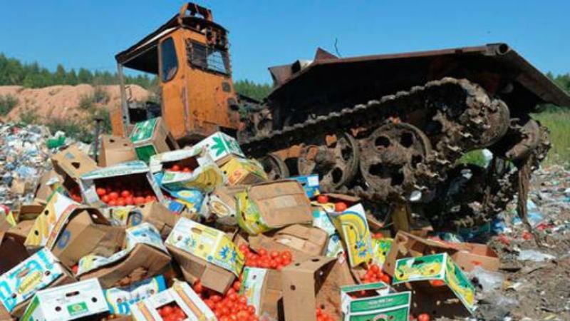 В Росії розповіли, скільки знищили санкційних продуктів В Росії розповіли, скільки знищили санкційних продуктів