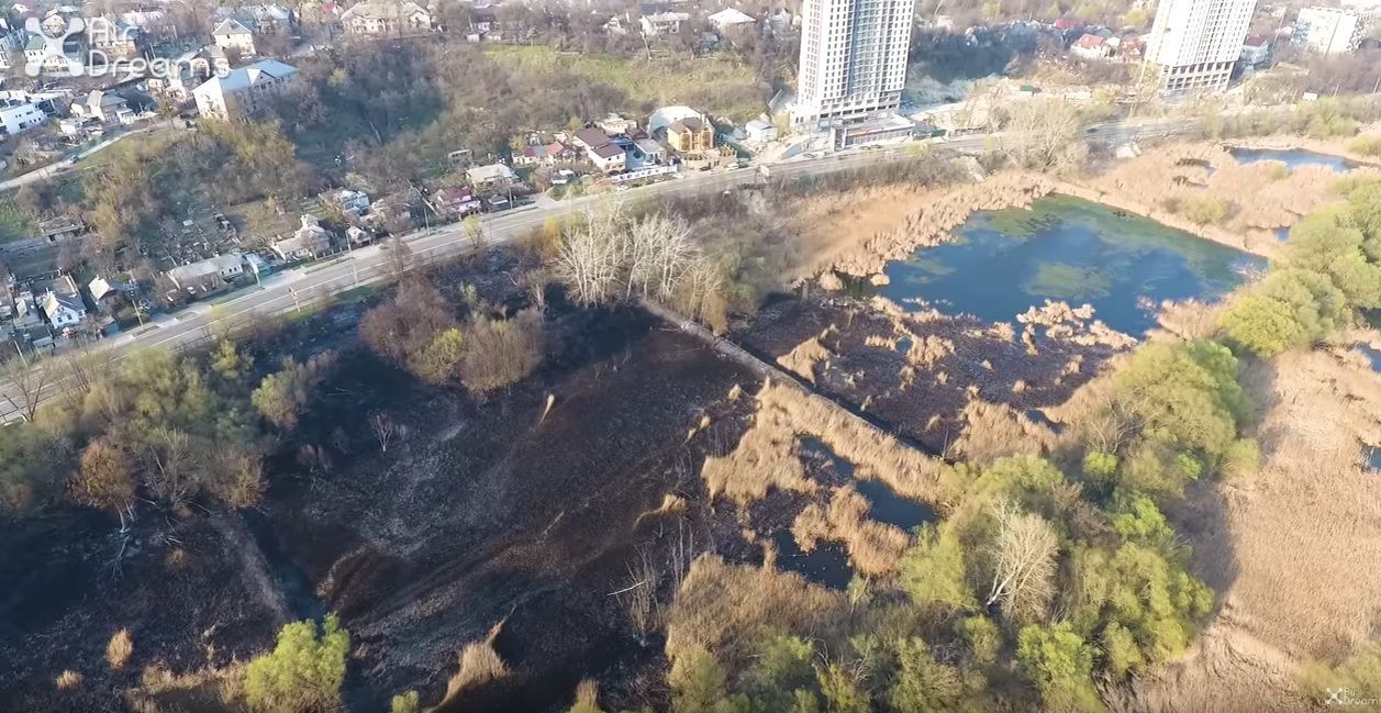 Масштабна пожежа на ставах у Києві: опублікували ефектне відео