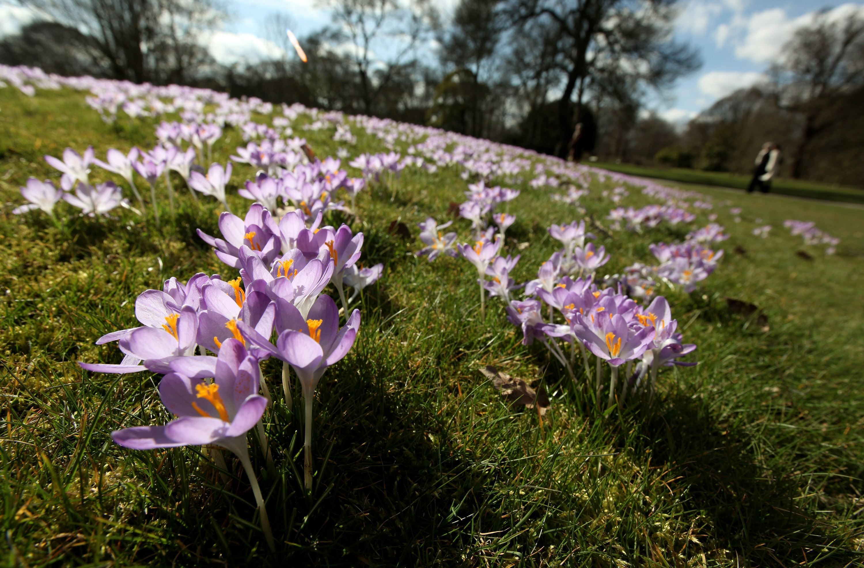 Прогноз погоди на 5 квітня: тепло, але з грозами Прогноз погоди на 5 квітня: тепло, але з грозами