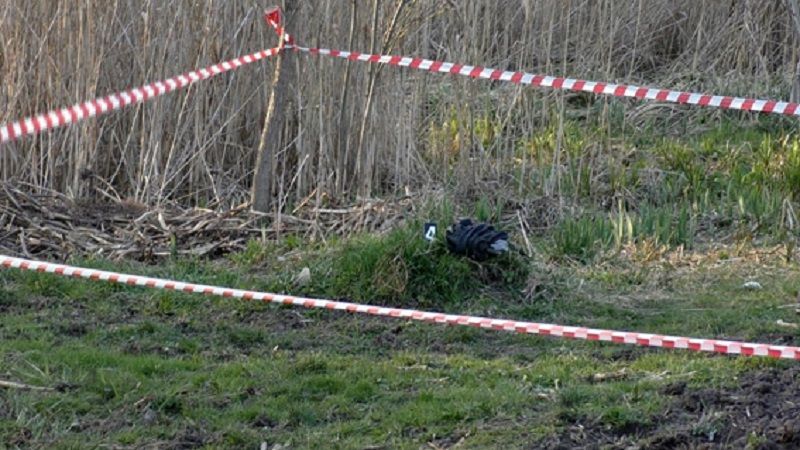 Молодик заколов односельчанина вилами: фото та відео з місця події