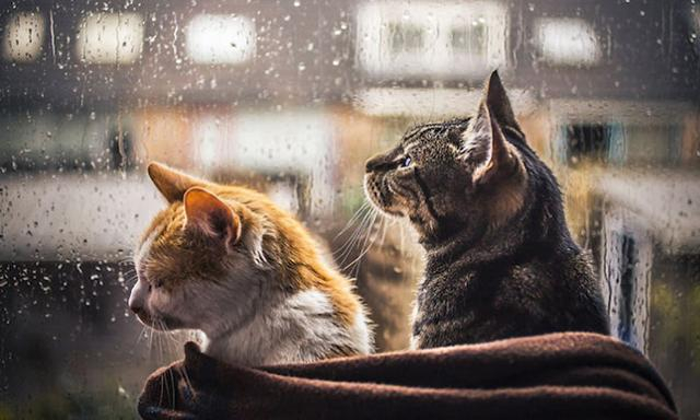 Погода на 6 апреля: дожди и похолодание