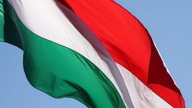 Москаль розповів, хто спаплюжив угорський прапор на Закарпатті
