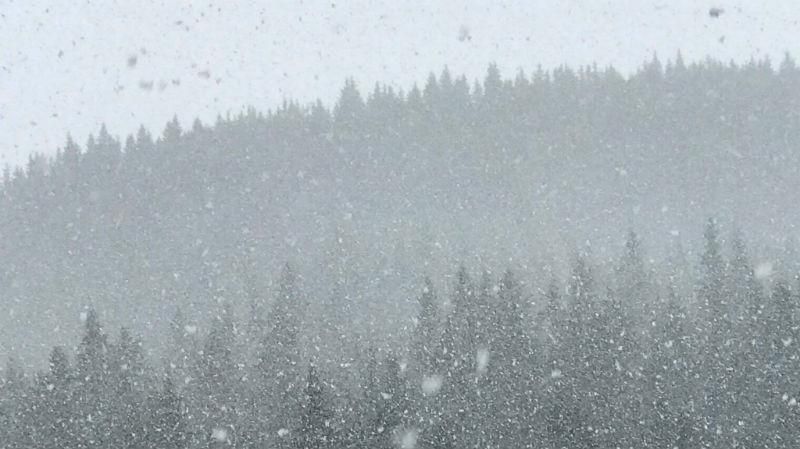 Зима посреди апреля. Несколько областей засыпало снегом Зима посреди апреля. Несколько областей засыпало снегом