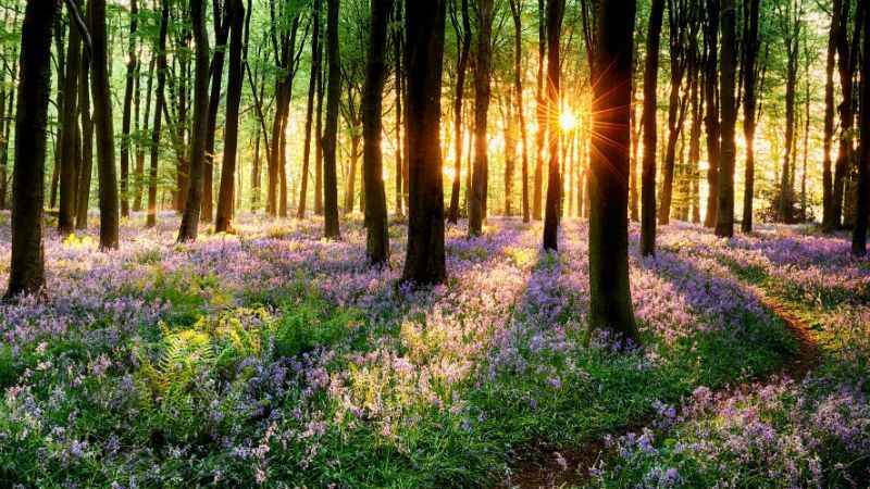 Прогноз погоды на 10 апреля: синоптики прогнозируют заморозки и небольшие дожди Прогноз погоды на 10 апреля: синоптики прогнозируют заморозки и небольшие дожди