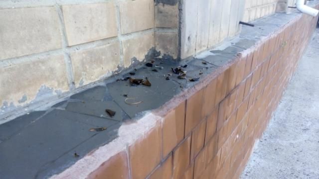 Зять с тестем развлекались: забрасывали райсовет "коктейлями Молотова" Зять с тестем развлекались: забрасывали райсовет "коктейлями Молотова"