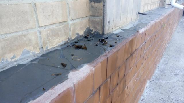 Зять с тестем развлекались: забрасывали райсовет "коктейлями Молотова"