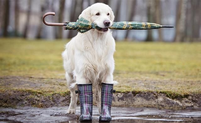 Погода на 13 апреля: холодно с дождями Погода на 13 апреля: холодно с дождями