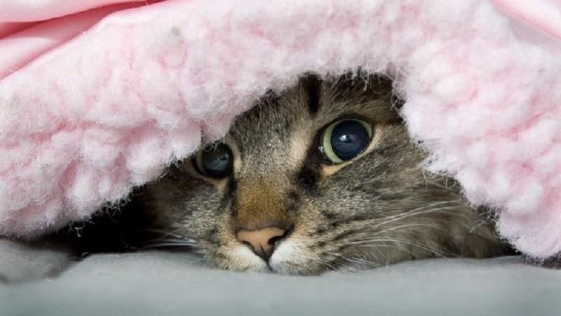 Синоптик предупредил о резком изменении погоды в Украине Синоптик предупредил о резком изменении погоды в Украине