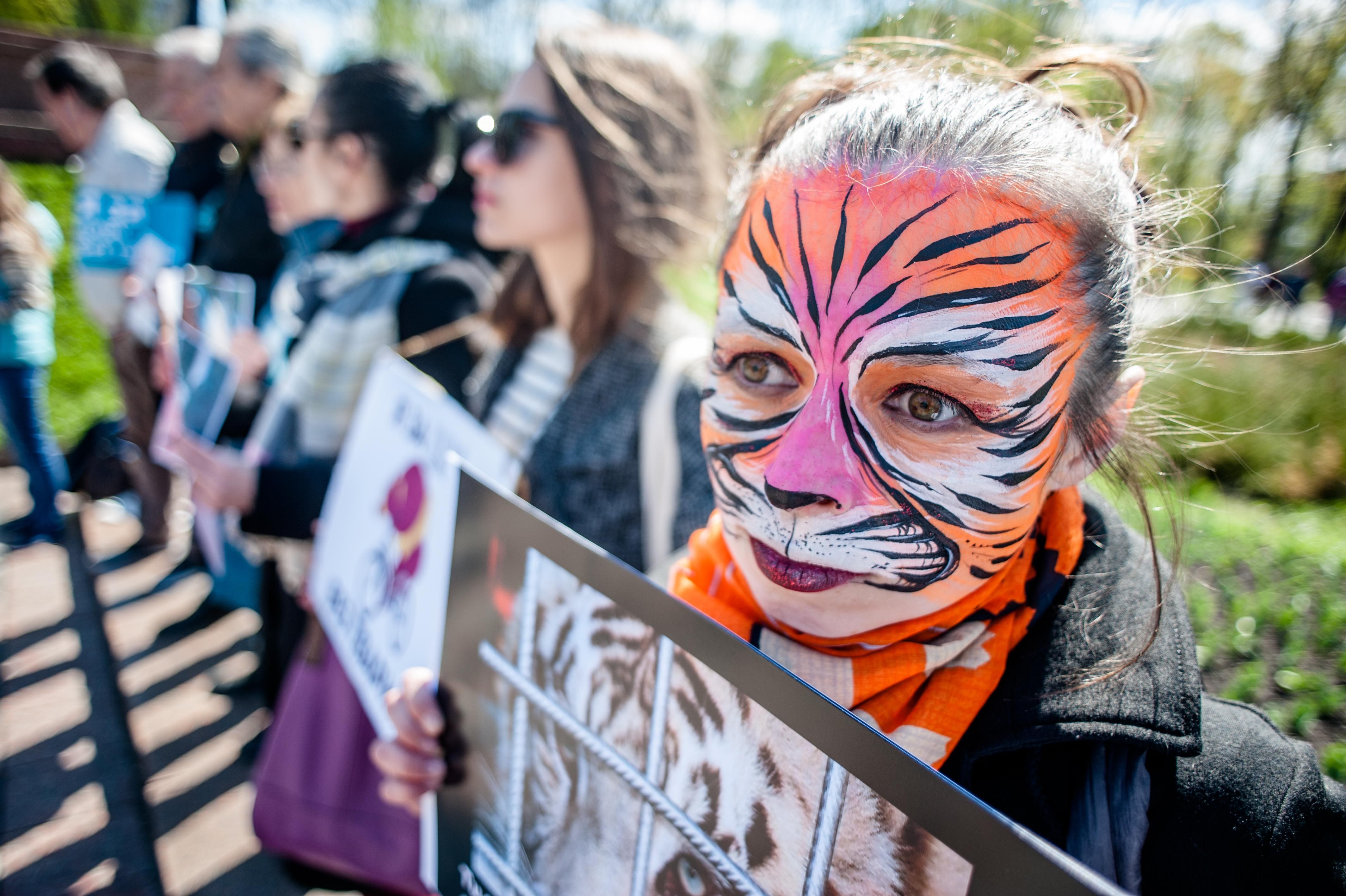 У Києві відбувається масштабний мітинг: опублікували фото та відео У Києві відбувається масштабний мітинг: опублікували фото та відео