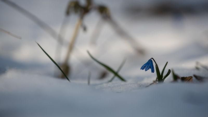 Прогноз погоди на 17 квітня: в Україну суне похолодання та мокрий сніг 