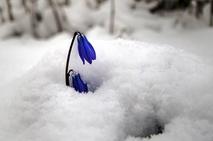 Частину Білорусі завалило снігом: з'явились вражаючі фото Частину Білорусі завалило снігом: з'явились вражаючі фото