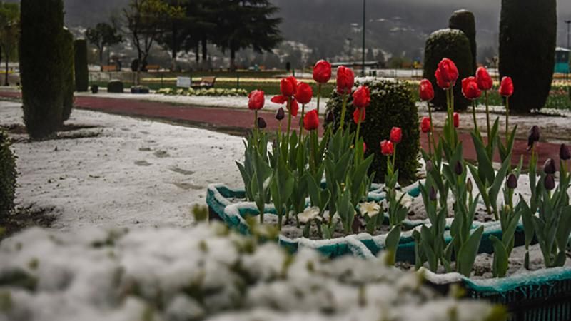 Прогноз погоди на 18 квітня: сніг і холод 