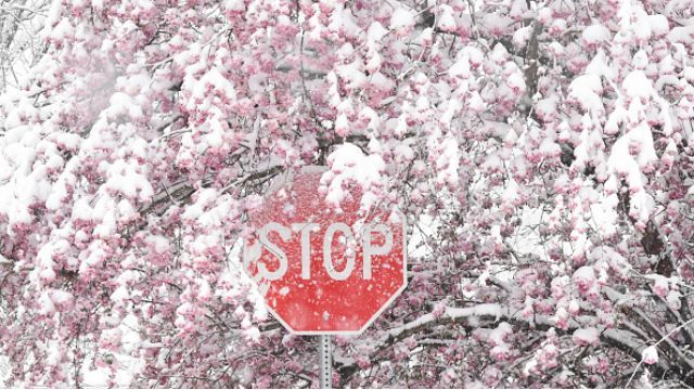 Прогноз погоди на 19 квітня: холодно, дощ і мокрий сніг Прогноз погоди на 19 квітня: холодно, дощ і мокрий сніг