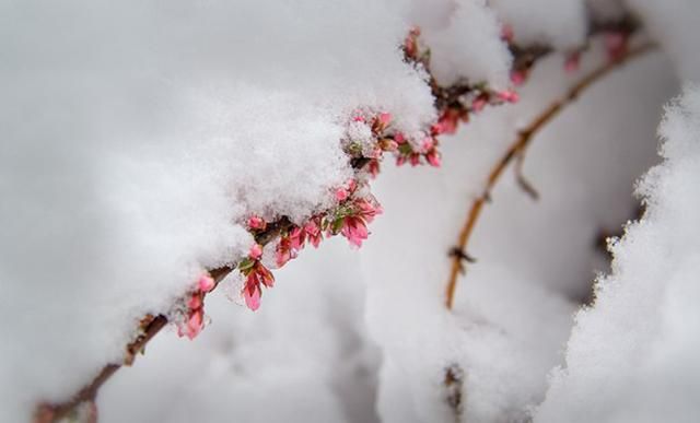 Прогноз погоды на 20 апреля: холод со снегом ходят по Украине