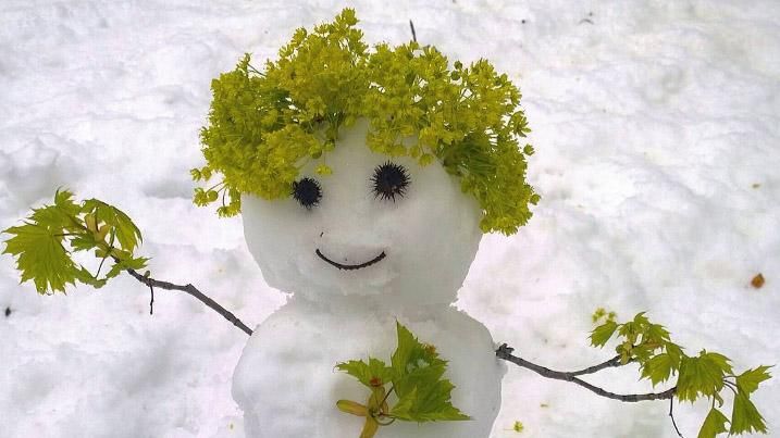 Які області замете снігом: перелік Які області замете снігом: перелік