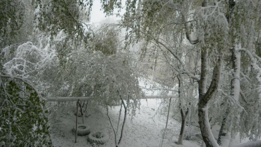 Буковину та Одещину завалило снігами: у мережі з'явились приголомшливі фото