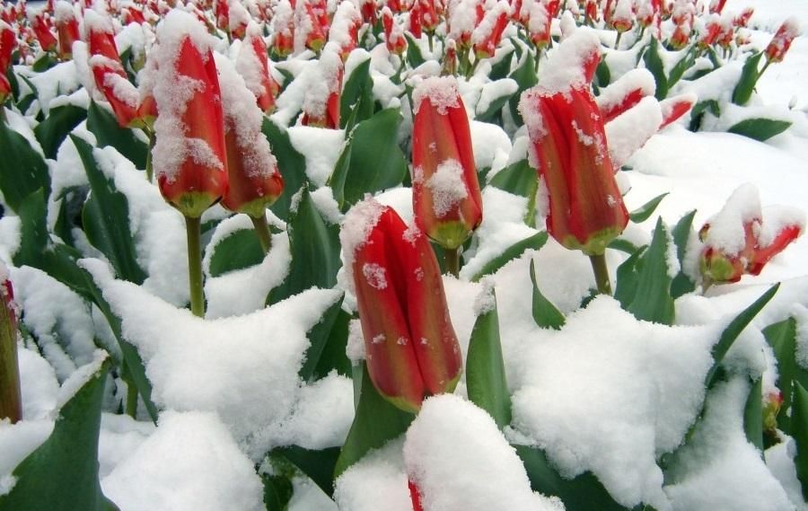 Прогноз погоди на 21 квітня: де вируватимуть негода та холод Прогноз погоди на 21 квітня: де вируватимуть негода та холод