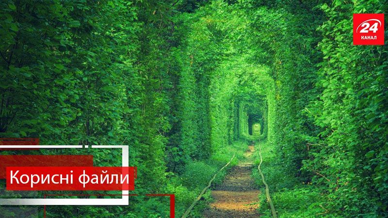 Корисні файли. Що цікавого можна побачити на Рівненщині
